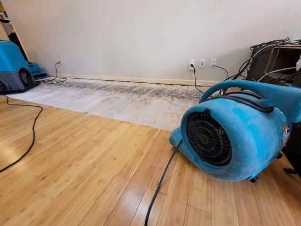 Professional Structural Drying technician working in New Holland, PA